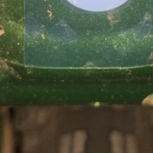 2023 Norco Bikes Fluid FS A1 Green