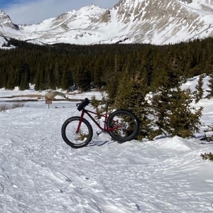 2020 Trek farley c Red