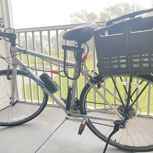 2019 Trek FX 1 SL Silver, gray or bare metal