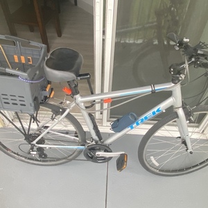 2019 Trek FX 1 SL Silver, gray or bare metal