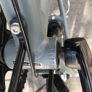 2010 Dahon Bullhead Blue