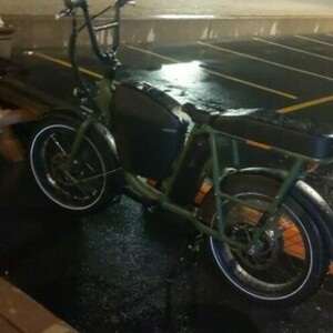 2020 Rad Power Bikes Rad runner cargo bike (front storage) Green