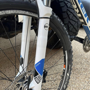 2012 Trek Mamba White