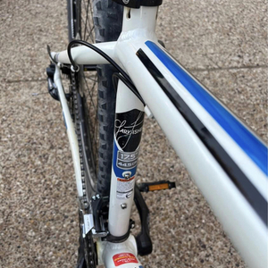 2012 Trek Mamba White