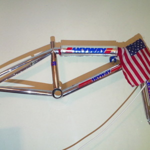 1980 Mongoose Motomag Silver, gray or bare metal