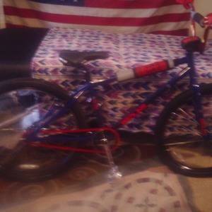 1980 Mongoose Motomag Silver, gray or bare metal