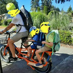 2022 Rad Power Bikes Rad wagon Orange
