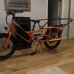 2022 Rad Power Bikes Rad wagon Orange