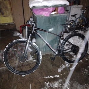 2021 Specialized Mt bike Brown