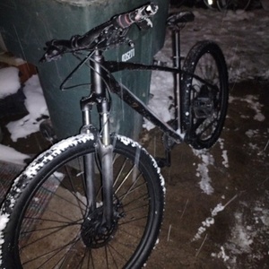 2021 Specialized Mt bike Brown