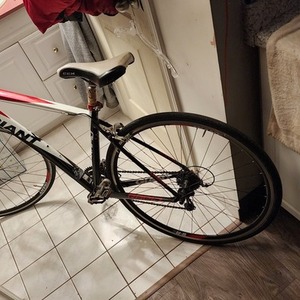 2022 Giant Rapid 2 White