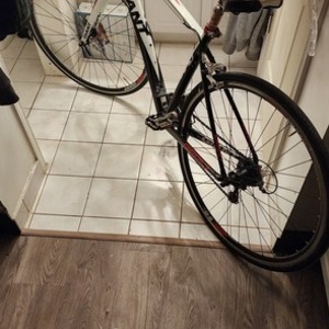 2022 Giant Rapid 2 White