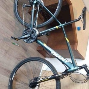 2019 Giant Roam Disc 2 Green