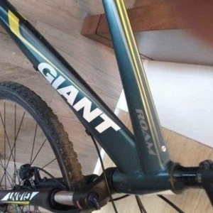 2019 Giant Roam Disc 2 Green