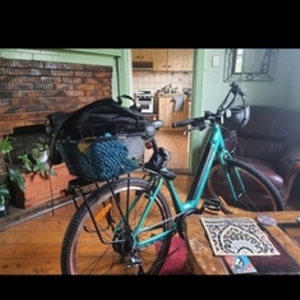 2022 Velec Cruiser St thru Green