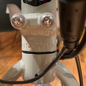 2022 Rad Power Bikes High frame Silver, gray or bare metal