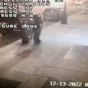 2022 Rad Power Bikes High frame Silver, gray or bare metal