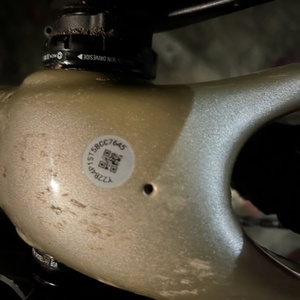 2022 Santa Cruz Stigmata Rival