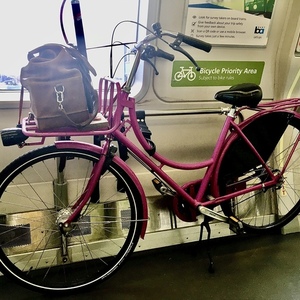 de Fietsfabriek Oma Pink and White