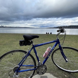 Trek 7300 MULTITRACK Blue