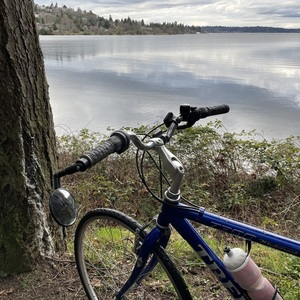 Trek 7300 MULTITRACK Blue