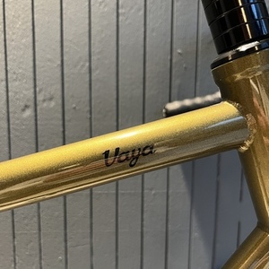 2017 Salsa Vaya Green