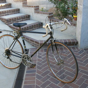 Centurion Mens 10-Speed Brown