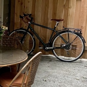 2011 Kona Sutra Green