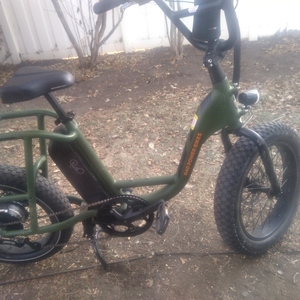 2022 Rad Power Bikes Cargo cargo bike (rear storage) Green and Black
