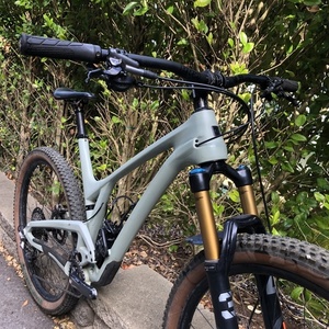 2020 Evil Following Green