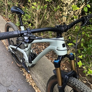 2020 Evil Following Green