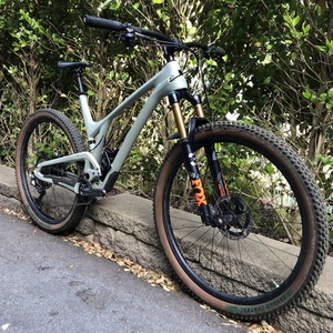 2020 Evil Following Green