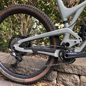 2020 Evil Following Green