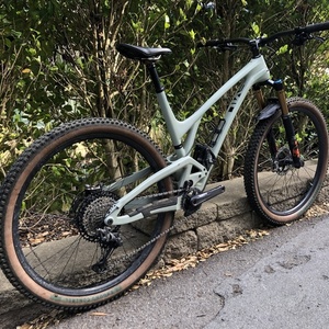 2020 Evil Following Green