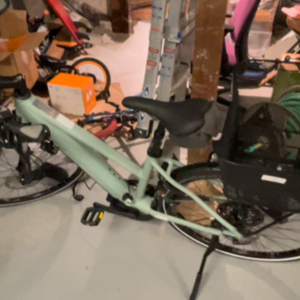 2022 Riese und Müller Roadster Mixte Green