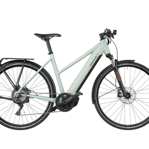 2022 Riese und Müller Roadster Mixte Green