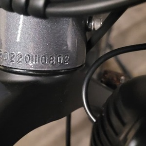 2022 Himiway Zebra Silver, gray or bare metal