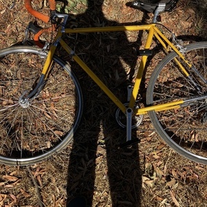 Bottecchia Yellow or Gold