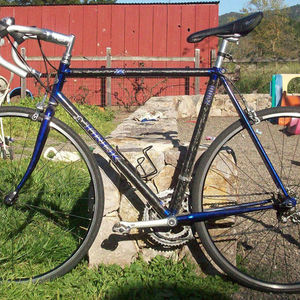 1993 Trek 2100 Blue and Silver or Gray