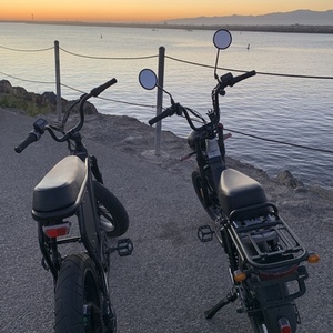 2022 Juiced Bikes Hyper scorpion Silver, gray or bare metal