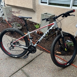 2019 Giant Talon 3 Silver, gray or bare metal