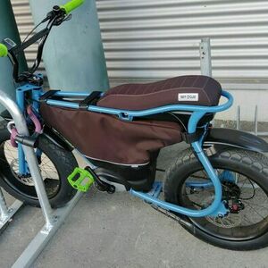 2022 Ruff Cycles Lil’Buddy Blue and Green