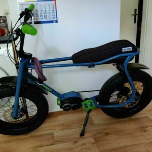 2022 Ruff Cycles Lil’Buddy Blue and Green