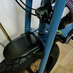 2022 Ruff Cycles Lil’Buddy Blue and Green