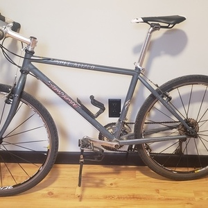 1994 Specialized Stumpjumper Silver, gray or bare metal