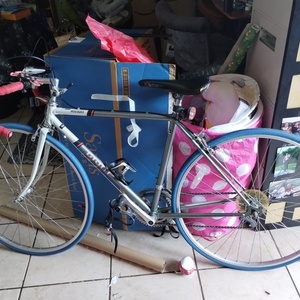 Giant RS920 Silver, gray or bare metal