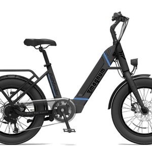 Magnum Bikes Silver, gray or bare metal