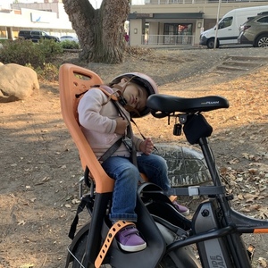 2019 Rad Power Bikes Black