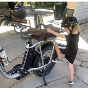 2022 Rad Power Bikes Rad Runner Plus cargo bike (rear storage) Silver, gray or bare metal