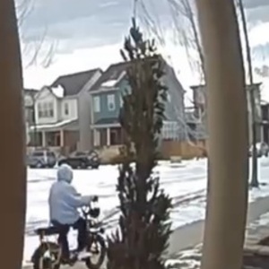 2022 Rad Power Bikes Rad Runner Plus cargo bike (rear storage) Silver, gray or bare metal